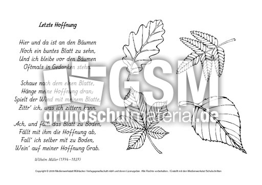 M-Letzte-Hoffnung-Müller.pdf